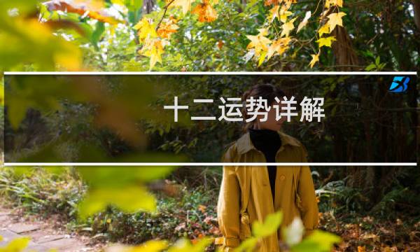 十二运势详解