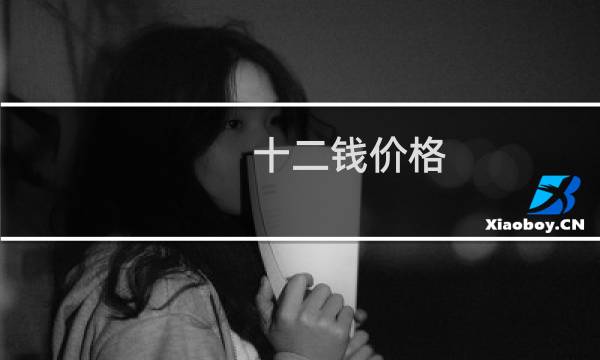 十二钱价格