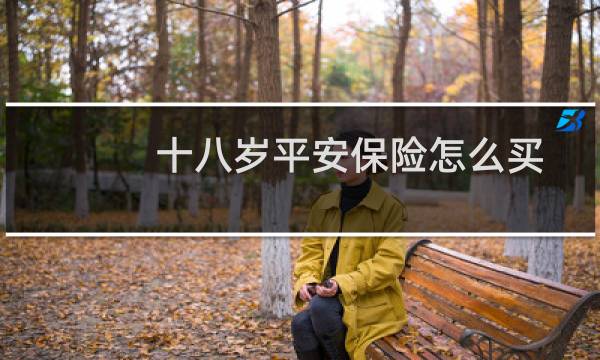 十八岁平安保险怎么买