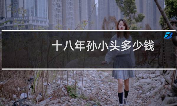 十八年孙小头多少钱