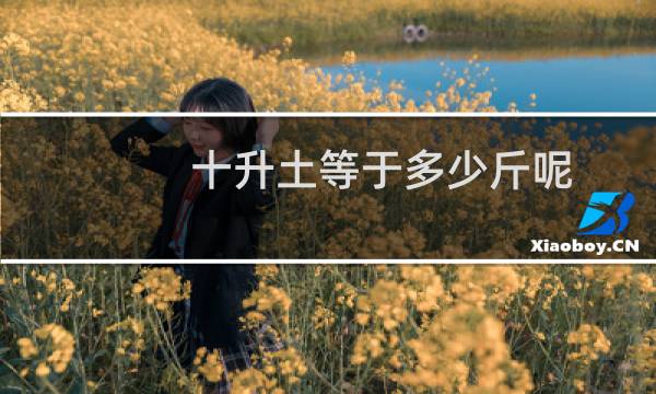 十升土等于多少斤呢