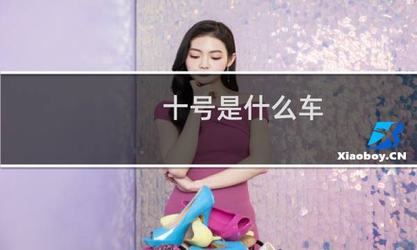 十号是什么车