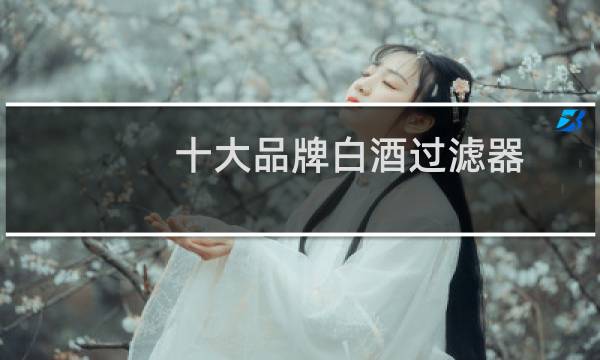 十大品牌白酒过滤器