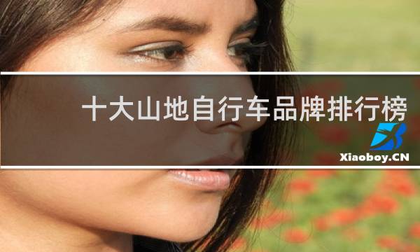 十大山地自行车品牌排行榜