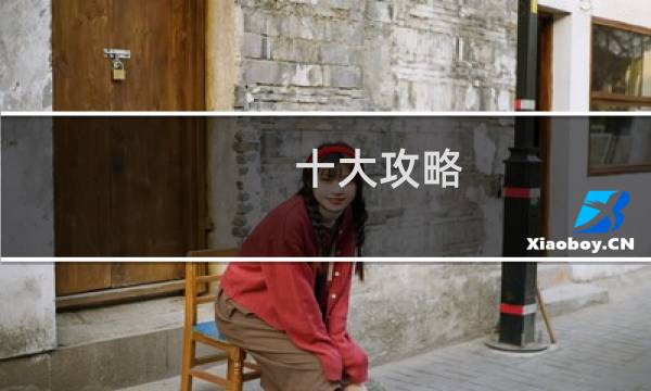 十大攻略