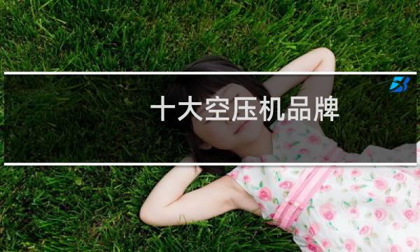 十大空压机品牌