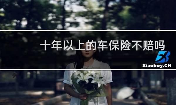 十年以上的车保险不赔吗
