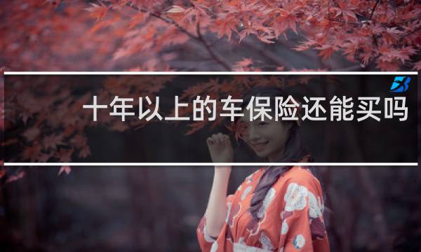 十年以上的车保险还能买吗