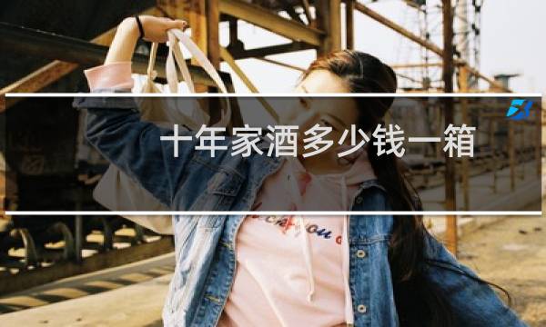 十年家酒多少钱一箱