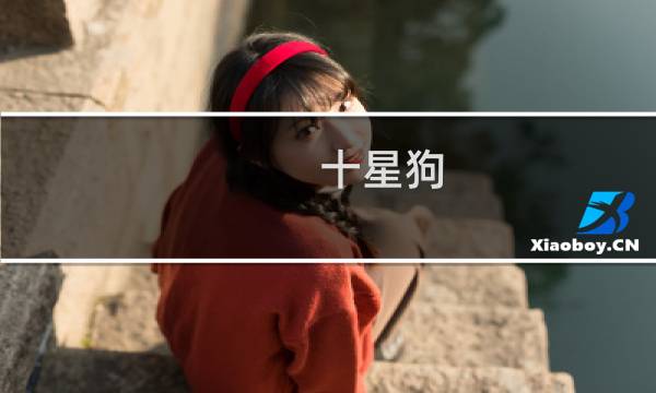 十星狗 攻略