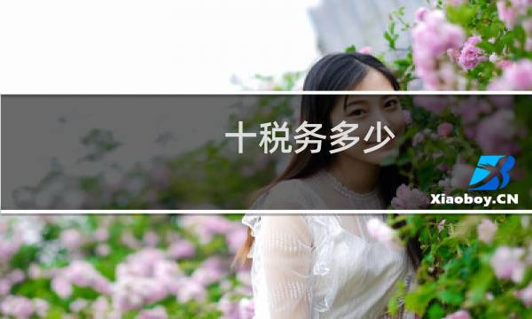 十税务多少