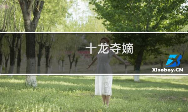 十龙夺嫡 攻略