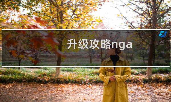 升级攻略nga