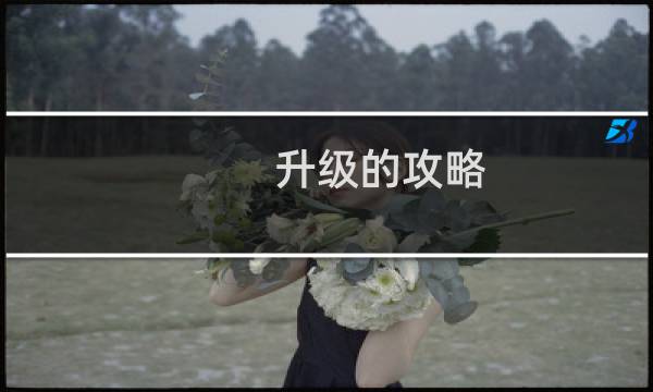 升级的攻略