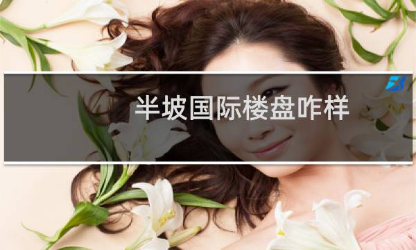 半坡国际楼盘咋样