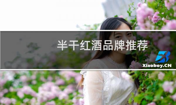 半干红酒品牌推荐