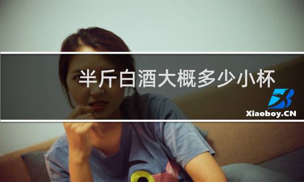 半斤白酒大概多少小杯