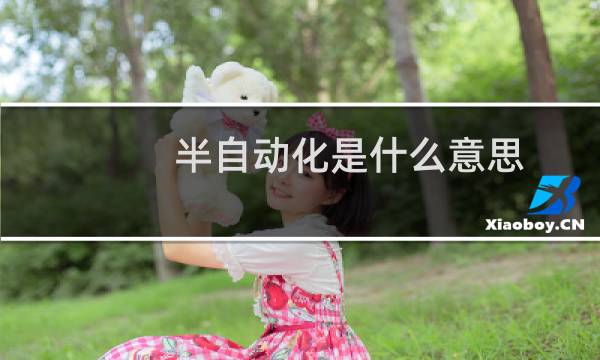 半自动化是什么意思