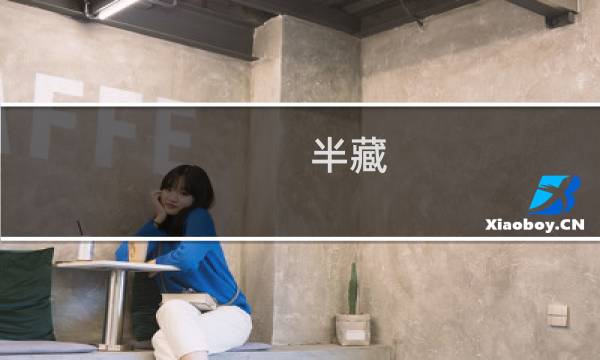 半藏 攻略