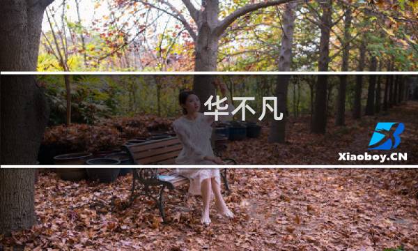 华不凡 攻略