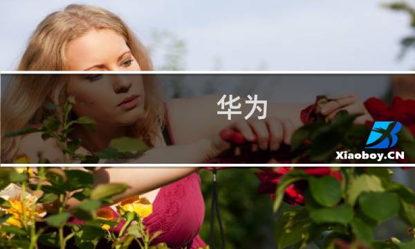 华为 徕卡 攻略