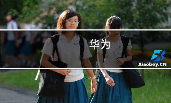 华为 玩机攻略