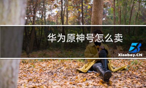 华为原神号怎么卖