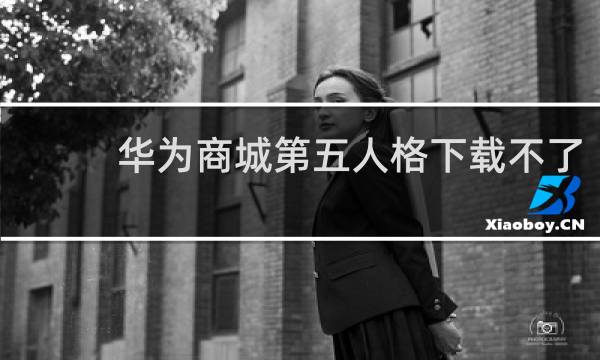 华为商城第五人格下载不了