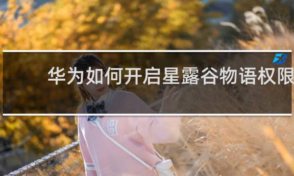 华为如何开启星露谷物语权限
