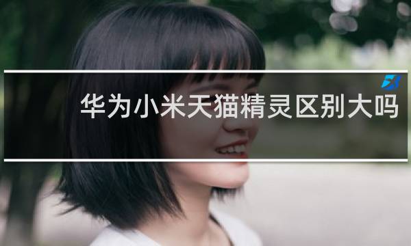 华为小米天猫精灵区别大吗