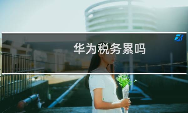 华为税务累吗