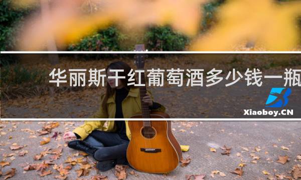 华丽斯干红葡萄酒多少钱一瓶