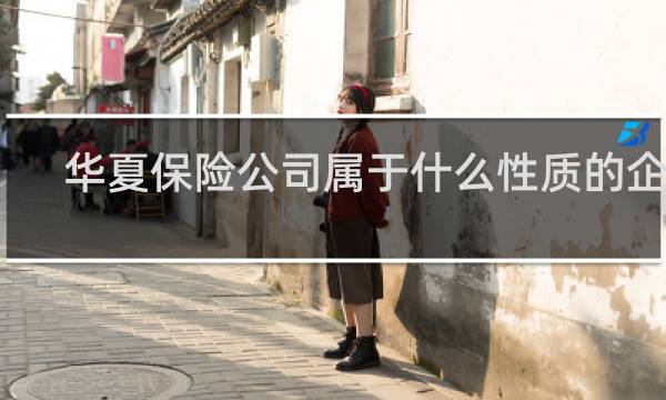 华夏保险公司属于什么性质的企业