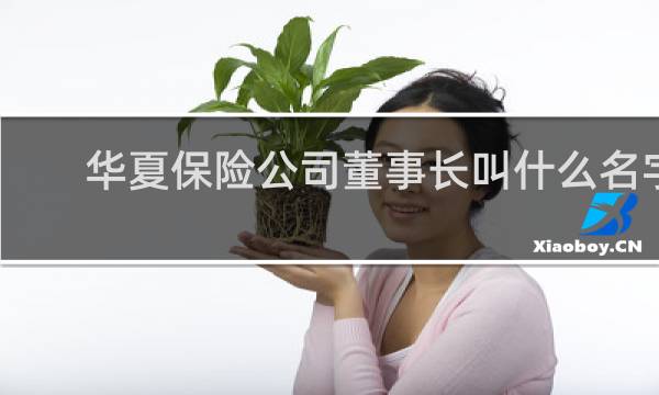华夏保险公司董事长叫什么名字