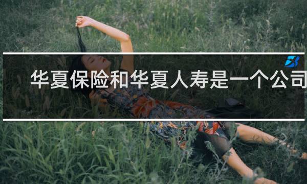 华夏保险和华夏人寿是一个公司吗