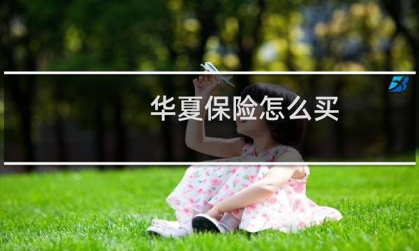 华夏保险怎么买