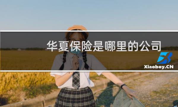 华夏保险是哪里的公司