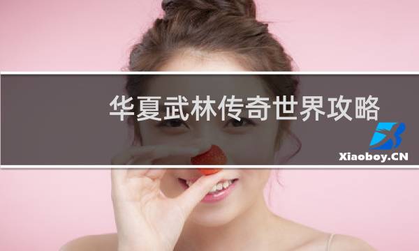 华夏武林传奇世界攻略