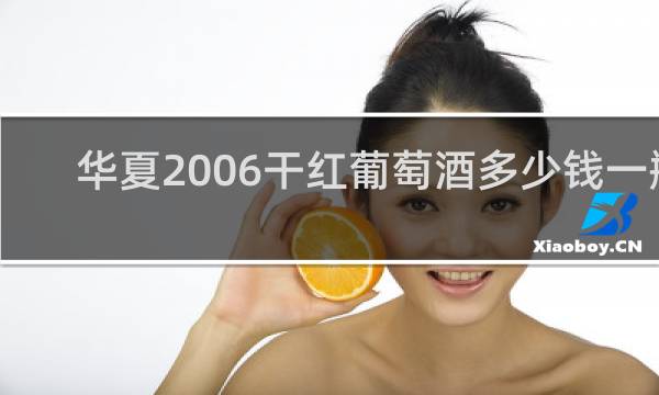 华夏2006干红葡萄酒多少钱一瓶