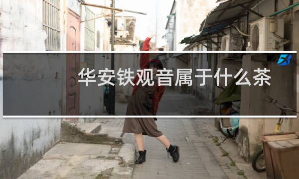 华安铁观音属于什么茶