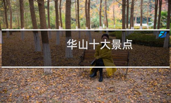 华山十大景点