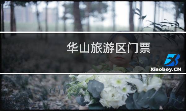 华山旅游区门票
