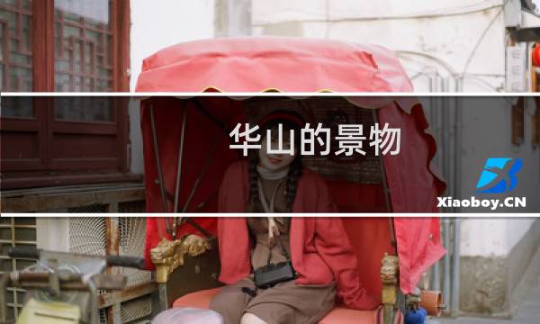 华山的景物