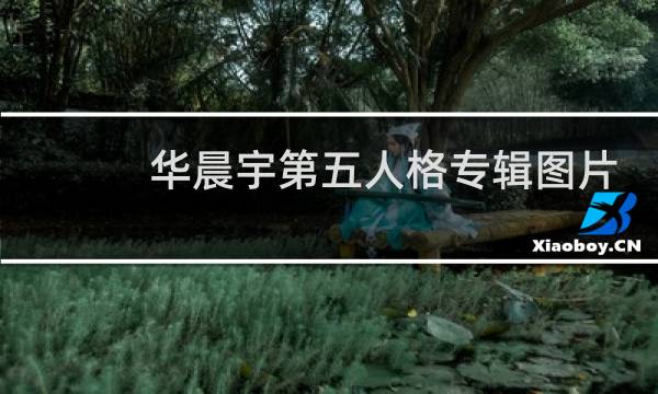 华晨宇第五人格专辑图片
