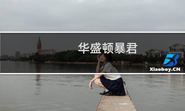 华盛顿暴君 攻略