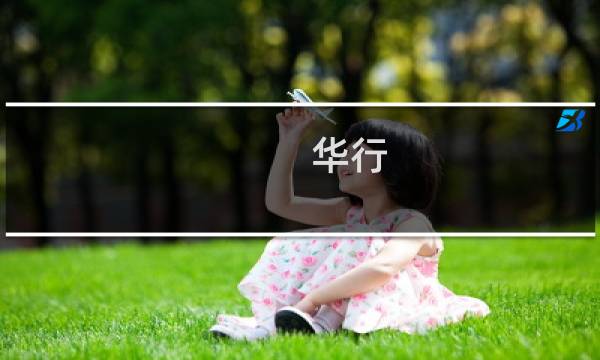 華行(深圳)出行服務(wù)有限公司