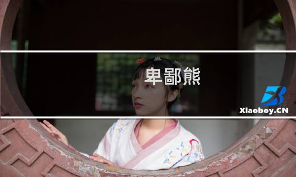 卑鄙熊 攻略