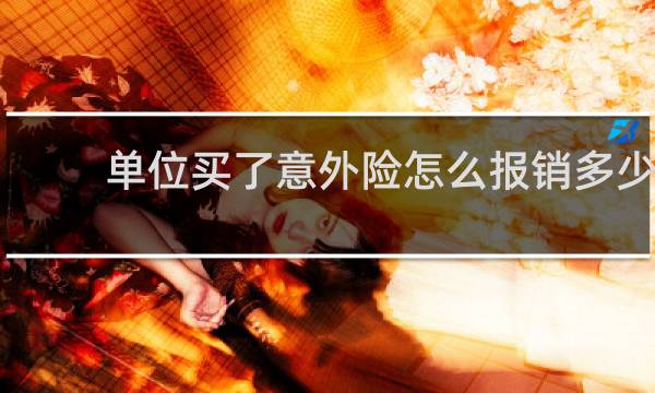 单位买了意外险怎么报销多少