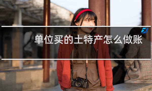 单位买的土特产怎么做账