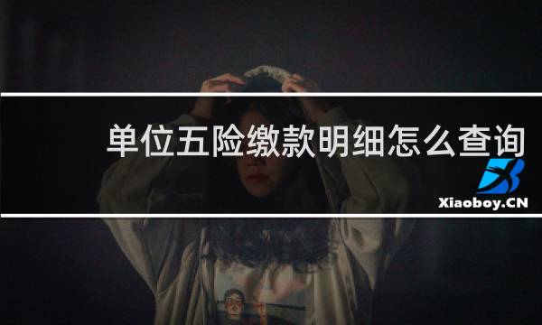 单位五险缴款明细怎么查询
